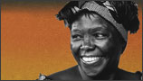 Politika yapan bir bilim kadını: Wangari Maathai ve Yeşil Kuşak Hareketi