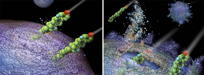 akilli antibiyotik - Biyoloji ile İlgili Makaleler, Araştırmalar akilli antibiyotik