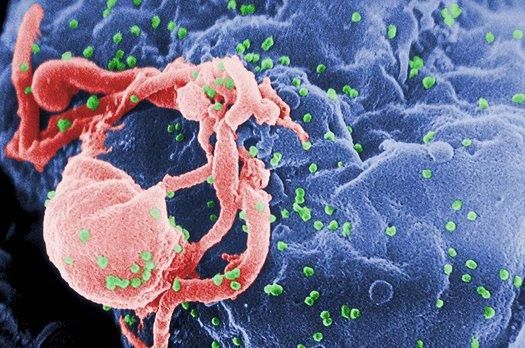 Genetik dizileme yeni bir düzeltme enzimi tarafından canlandırıldı