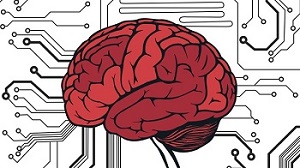 Beynimiz gerçekte ne kadar veri depolayabilir?