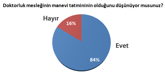 lise-tip-anketi-manevi-tatmin