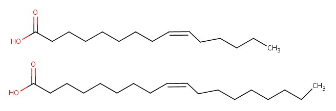 Şekil 3: Omega-6 ve omega-9 için örnek yapılar.