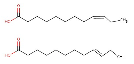 Şekil 4: Cis (üstte) ve trans (altta) omega-3 yağ asidi yapıları.