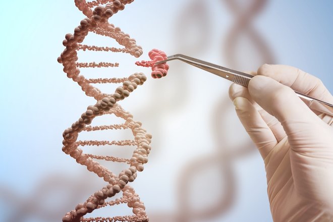 CRISPR’la kas hastalığına çözüm