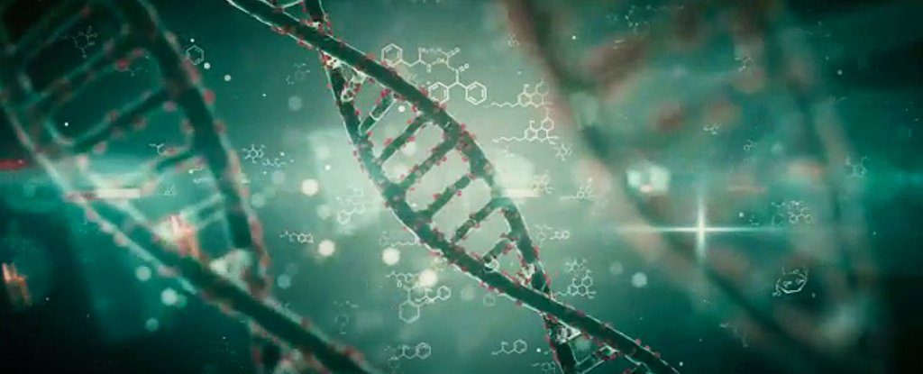 Olası yaşam süremiz DNA ipliklerinin boyunda gizli