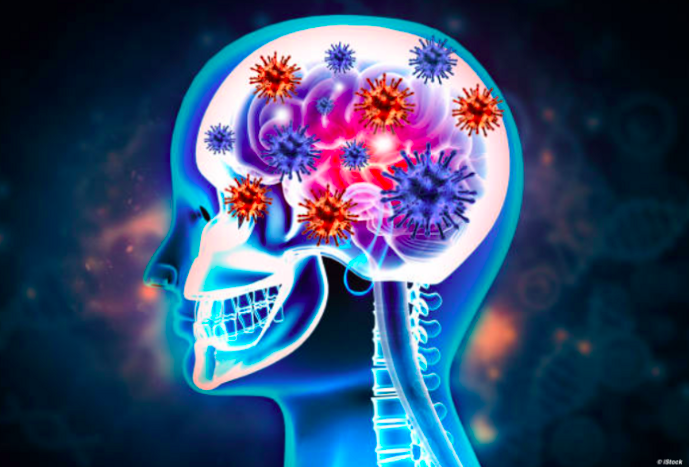 Ensefalon 5: Virüsler ve Beyin