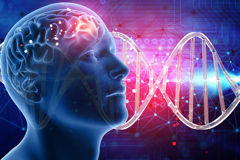 Bilim insanları zekâ ile ilgili 1000 yeni gen buldu
